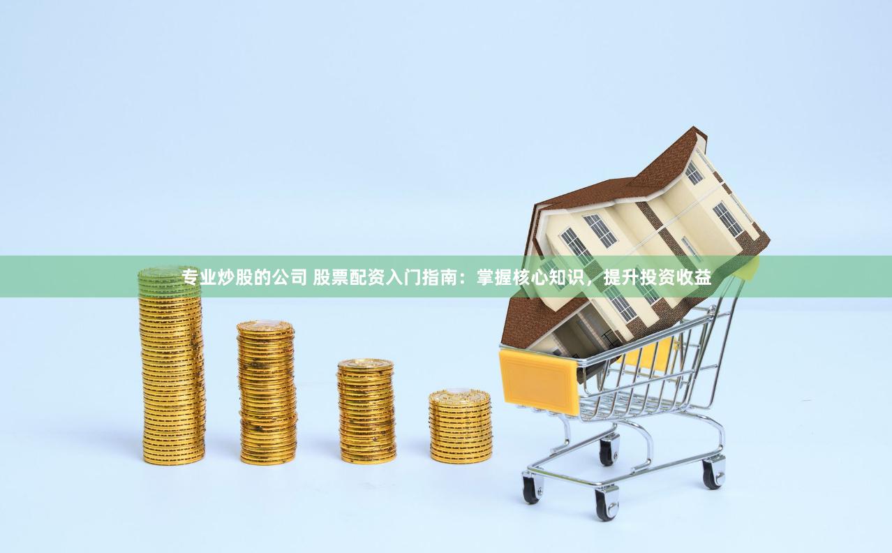 专业炒股的公司 股票配资入门指南：掌握核心知识，提升投资收益