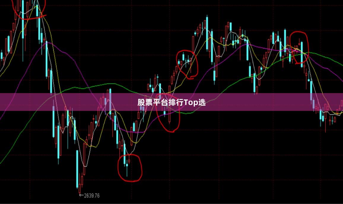 股票平台排行Top选