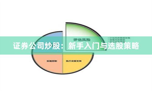 证券公司炒股：新手入门与选股策略